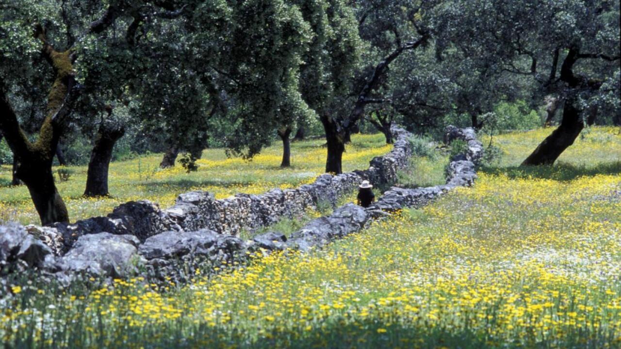 Molino Rio Alajar Vendégház Kültér fotó